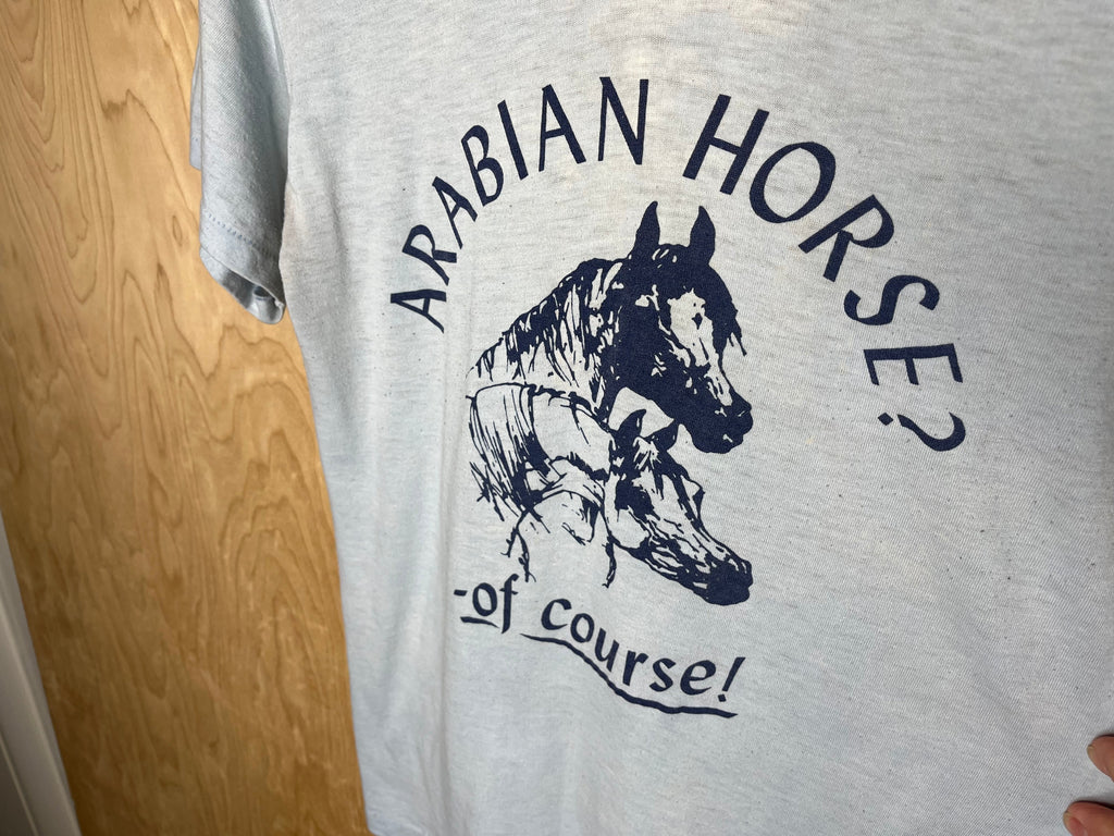 1980’s Arabian Horse? Of Course! - Medium product image 2