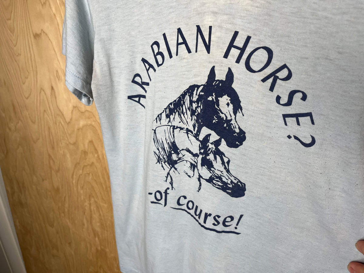 1980’s Arabian Horse? Of Course! - Medium product image 2