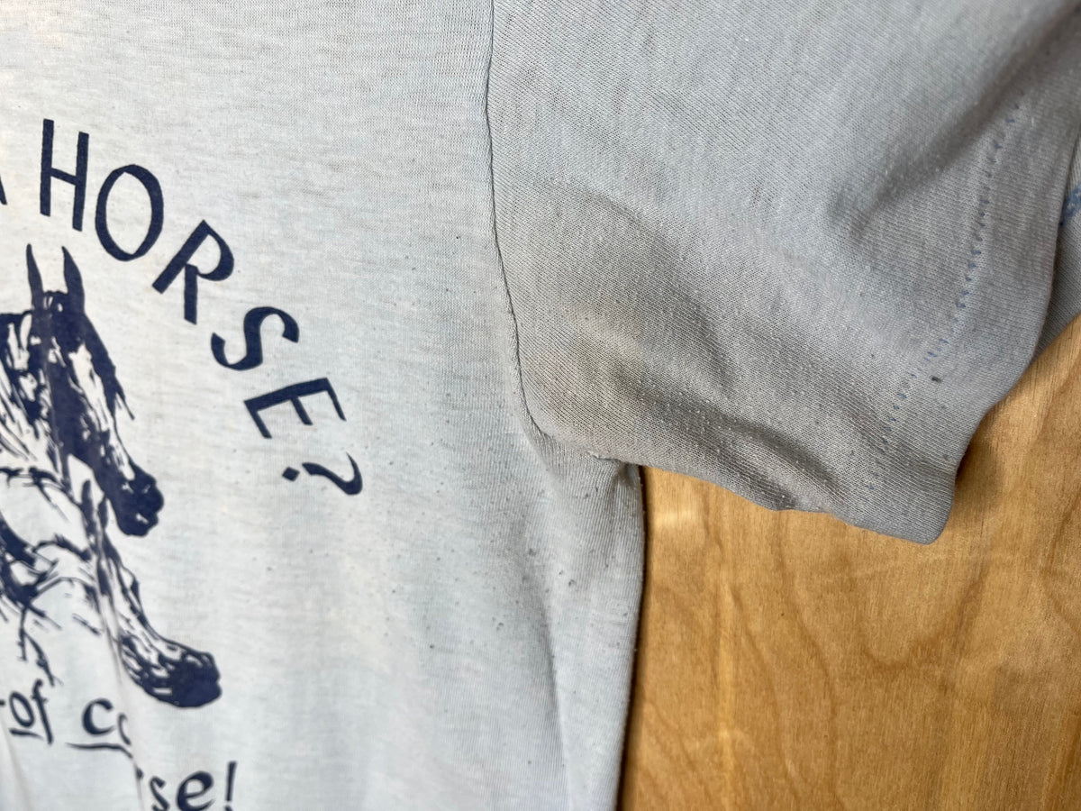 1980’s Arabian Horse? Of Course! - Medium product image 4