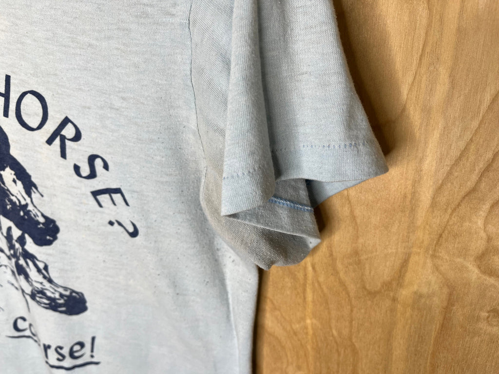 1980’s Arabian Horse? Of Course! - Medium product image 3